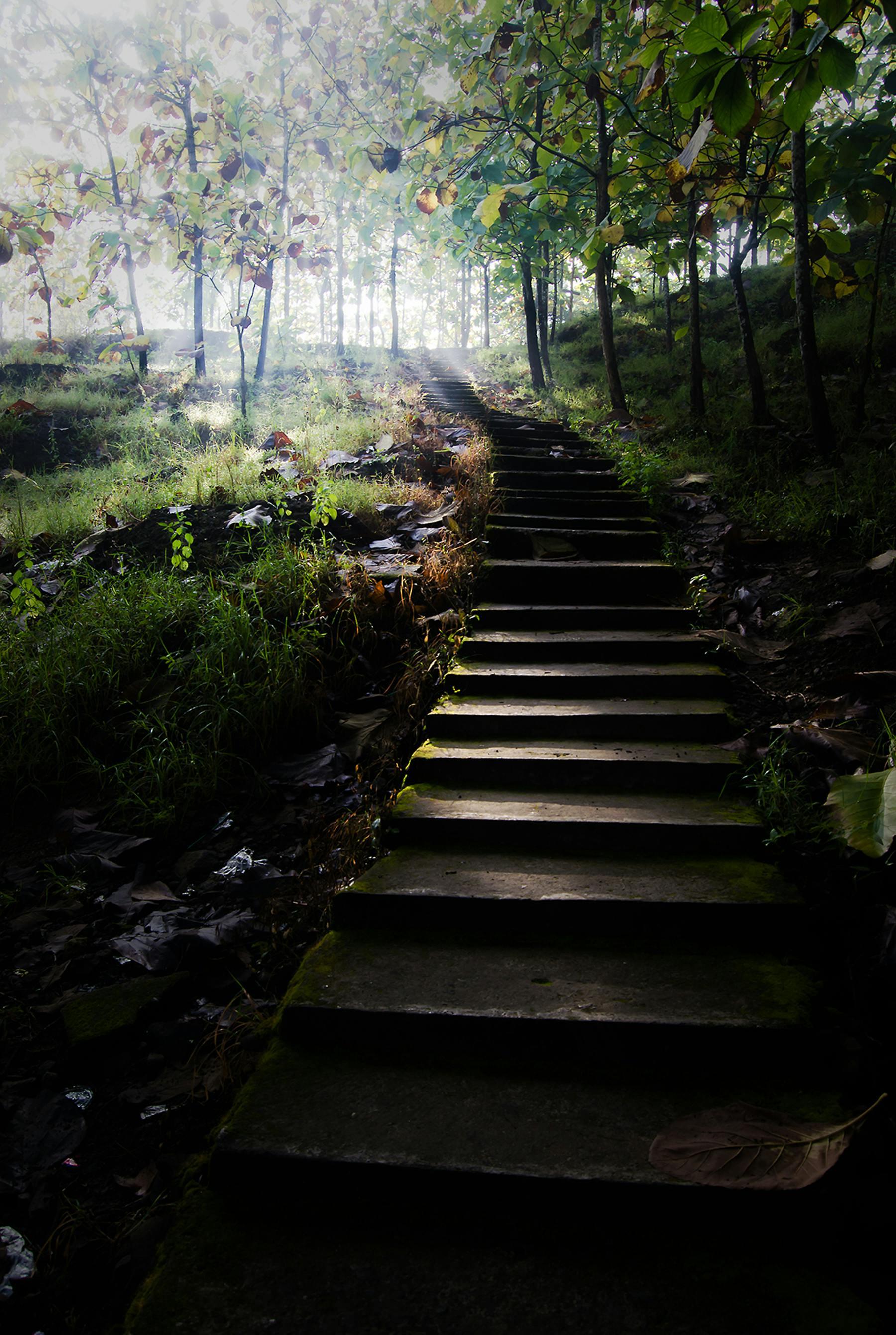 Garden path steps used for representing the steps to mental health recovery using therapy and counseling in Wake Forest, NC